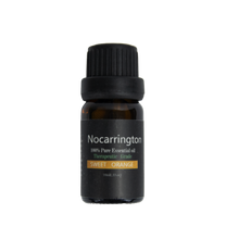 Load image into Gallery viewer, essential Oil Jewelry Diffusers Bracelet w/ 4 Pcs Essential Oils Relaxing Unique